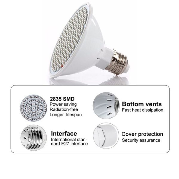 Led0546 7.jpg