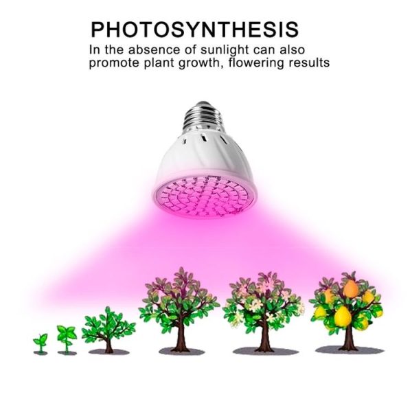 Led0546 8.jpg