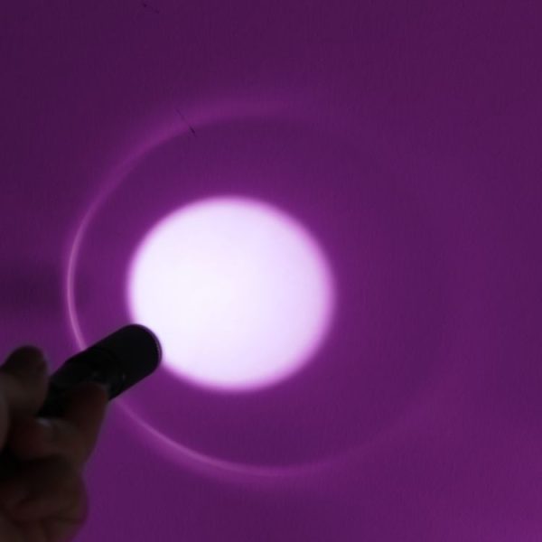 Led0930 5.jpg