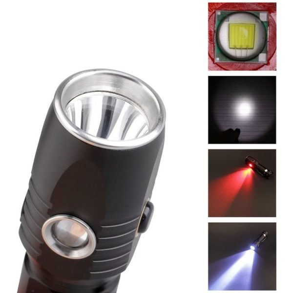 Led0934 6.jpg