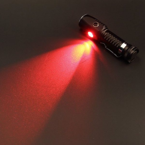 Led0934 9.jpg