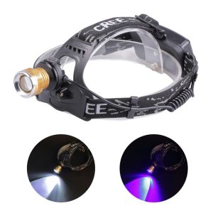 Led0937b 1.jpg