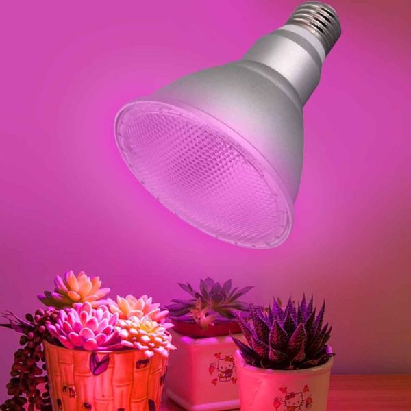 Led1610 1.jpg