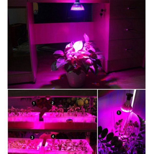 Led1610 9.jpg