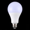 Led4853 4.jpg