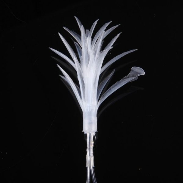 Led6854cl 4.jpg