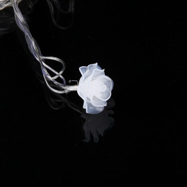 Led7853cl 2.jpg