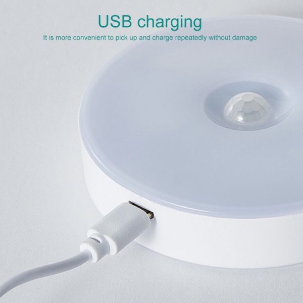 Led9829wl 4.jpg