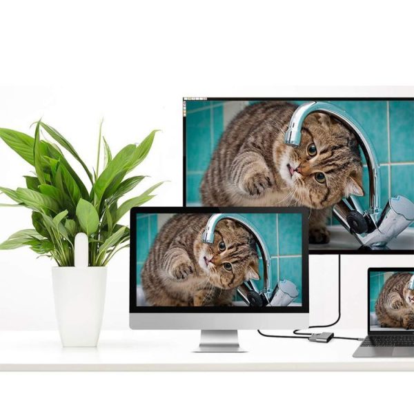 Mac6517 12.jpg