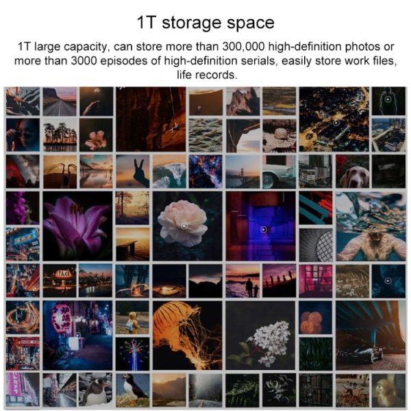Pc5695 7.jpg