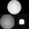 S Ca 8117r 7.jpg