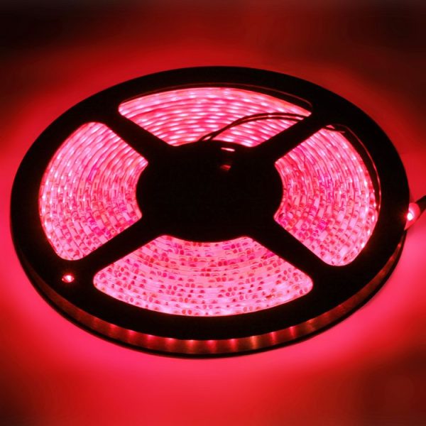 S Led 1219r 2.jpg