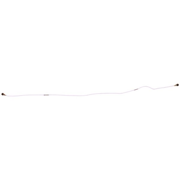 Sp2797 1.jpg