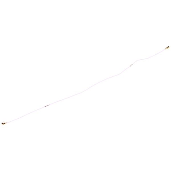 Sp2797 3.jpg