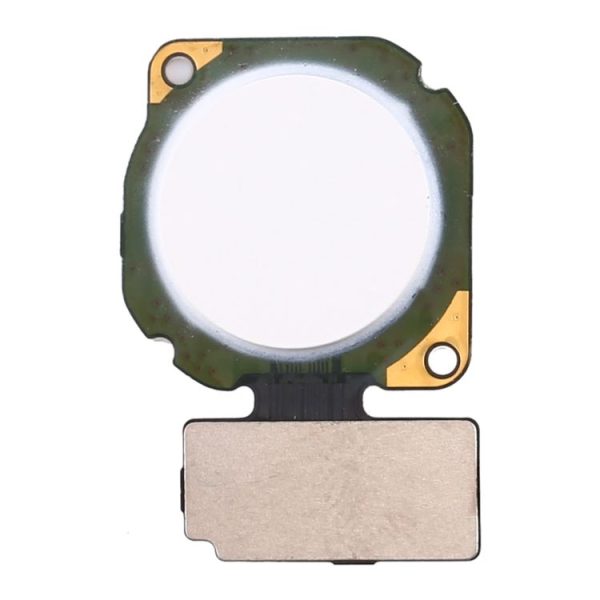 Sp3735w 2.jpg