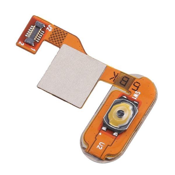 Sp7953b 4.jpg
