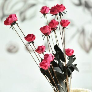 Tbd0112883301d 1.jpg