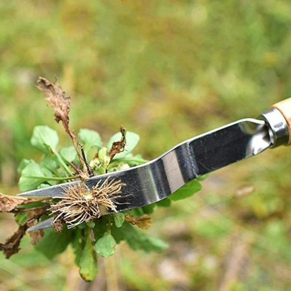 Tbd04216523 6.jpg