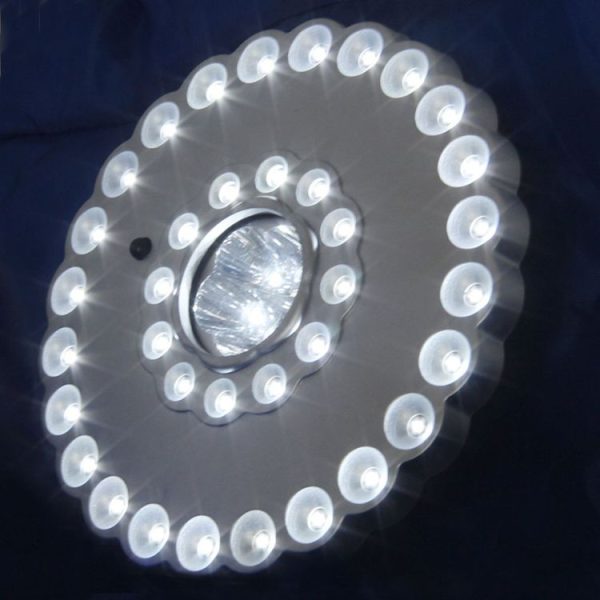 Tbd0529996 5.jpg