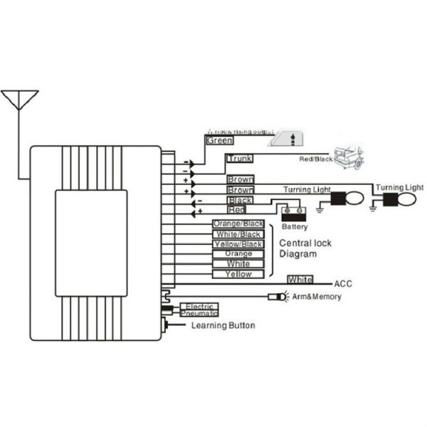 Tbd05454644 6.jpg