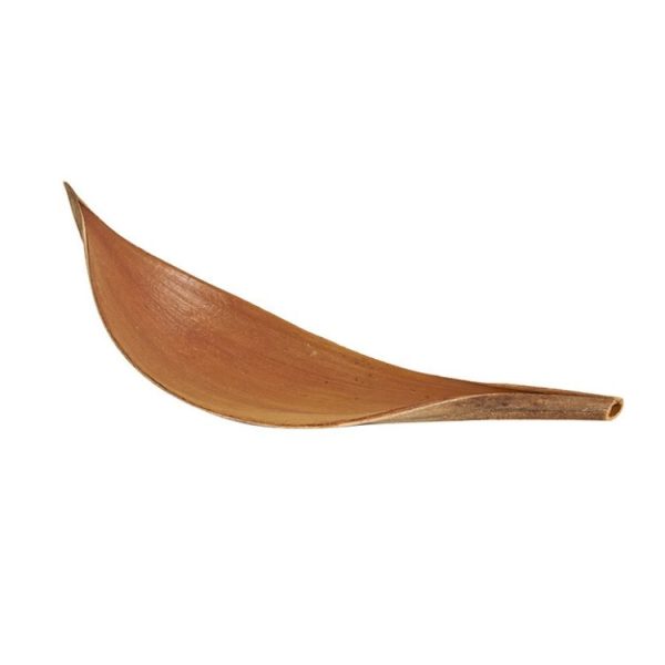 Tbd0602921402 1.jpg