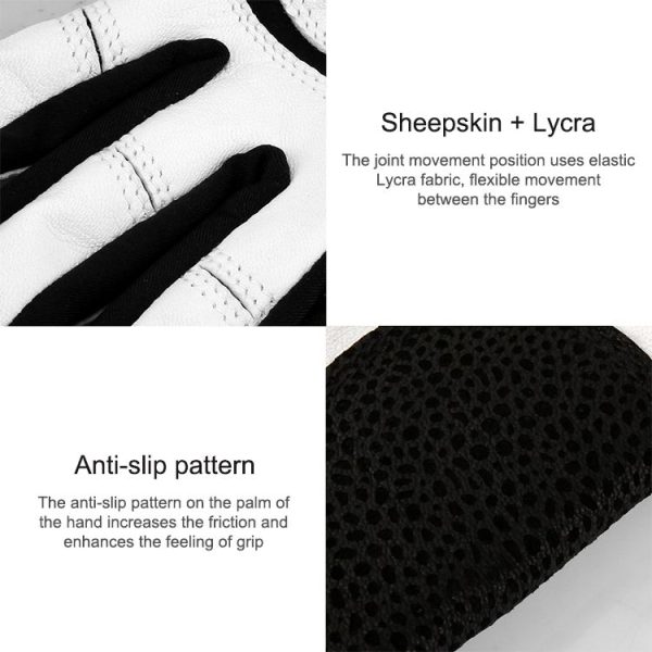 Zy15541399ai 5.jpg