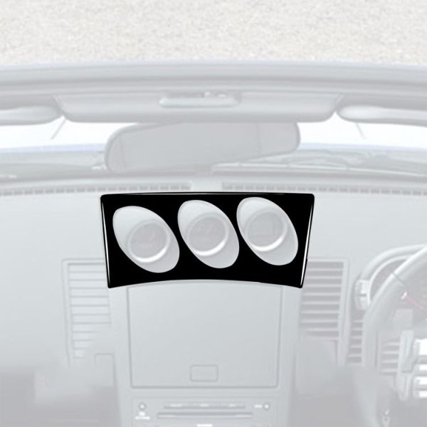 Car0010 4.jpg