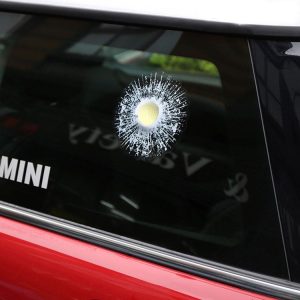 Cms6489y 1.jpg
