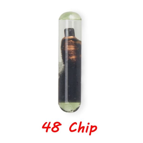 Crp0093 2.jpg
