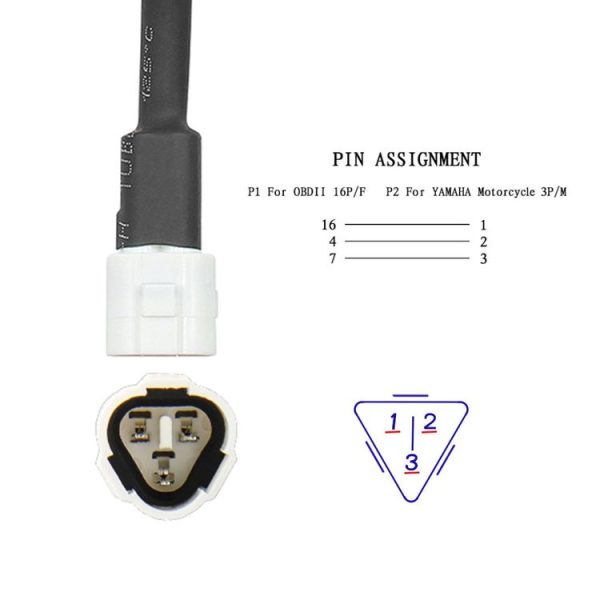 Crp3531 5.jpg