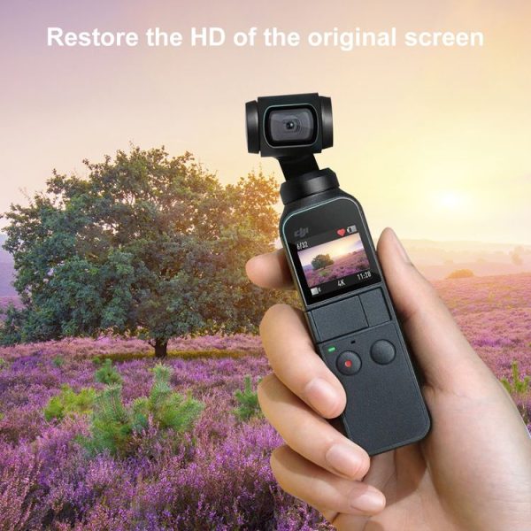 Dop0016 12.jpg