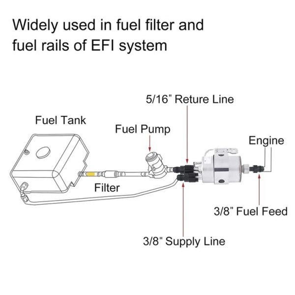 Eda0026773 6.jpg