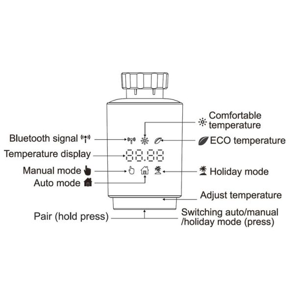 Eda0028373 4.jpg