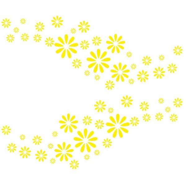 Eda003239701c 1.jpg