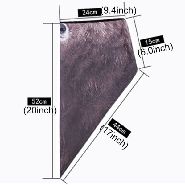 Hc5017n 6.jpg