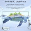 Hdmi0104 8.jpg