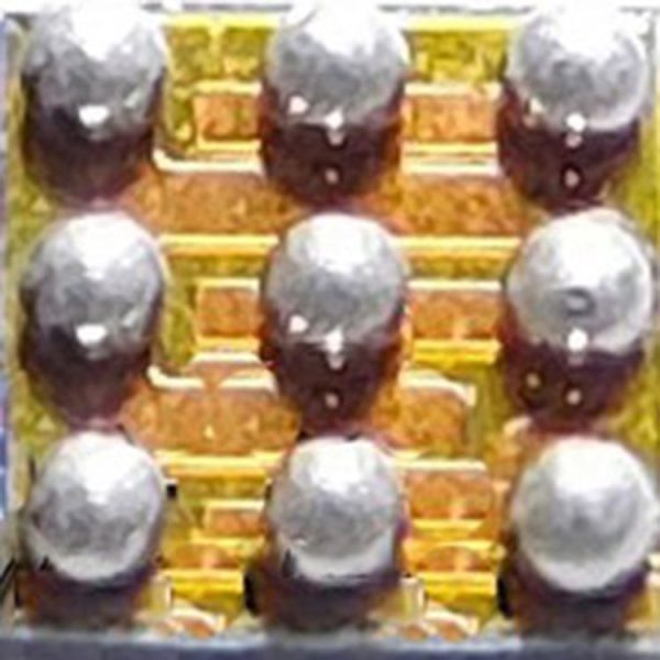 Iccp1116 3.jpg