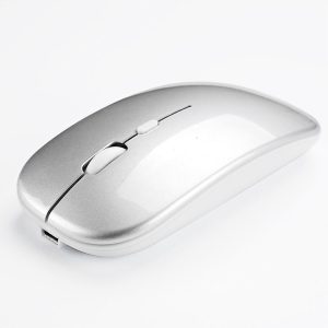 Kb0225w 1.jpg