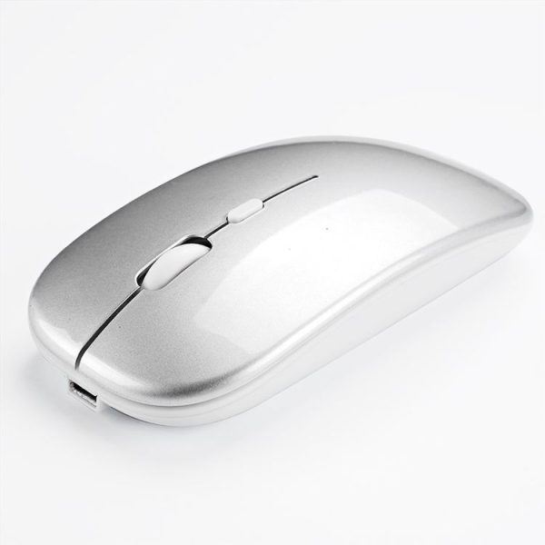 Kb0225w 1.jpg