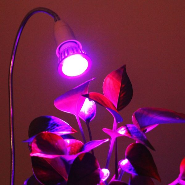 Led0434s 7.jpg