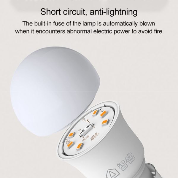 Led0555 3.jpg