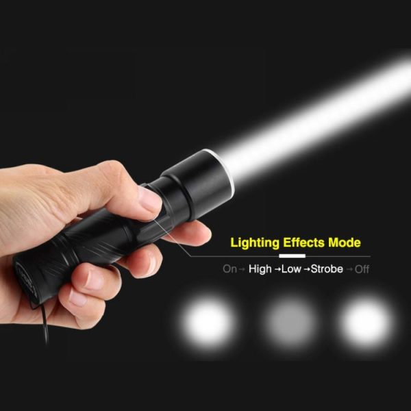 Led0564 10.jpg