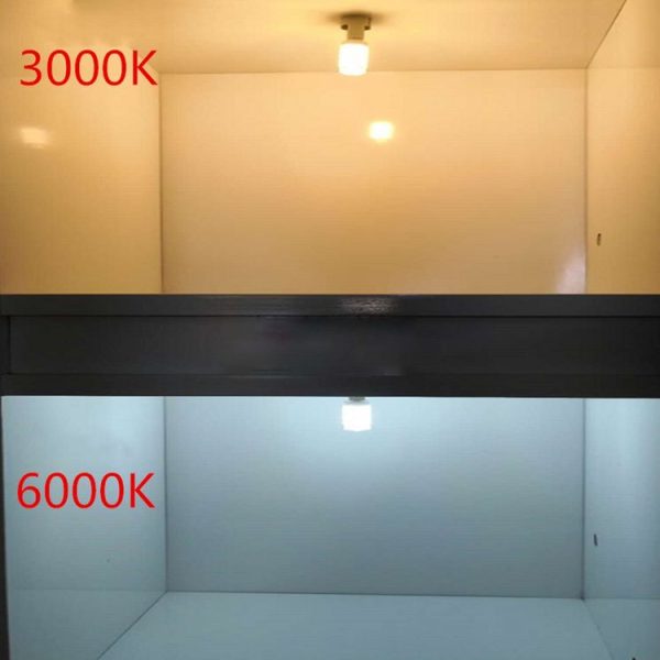 Led0885ww 5.jpg