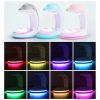 Led1366f 2.jpg