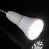 Led1860wl 7.jpg