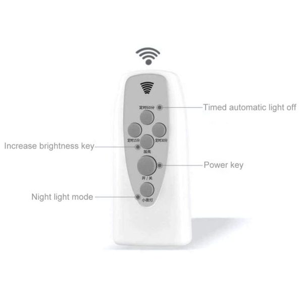 Led4581 5.jpg