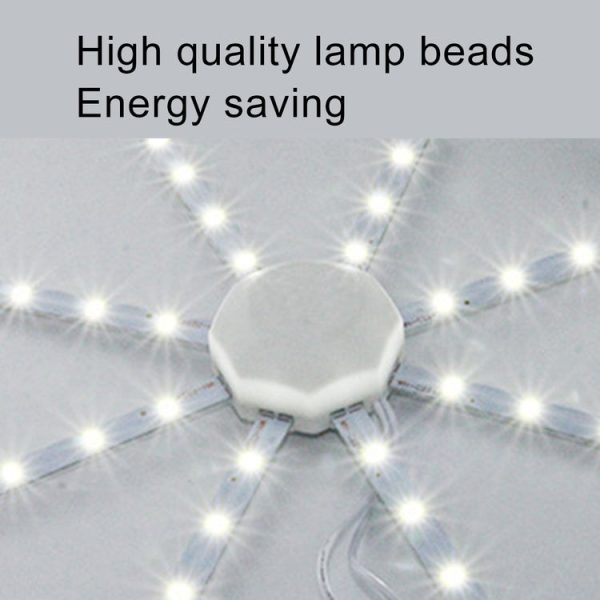 Led5989 7.jpg