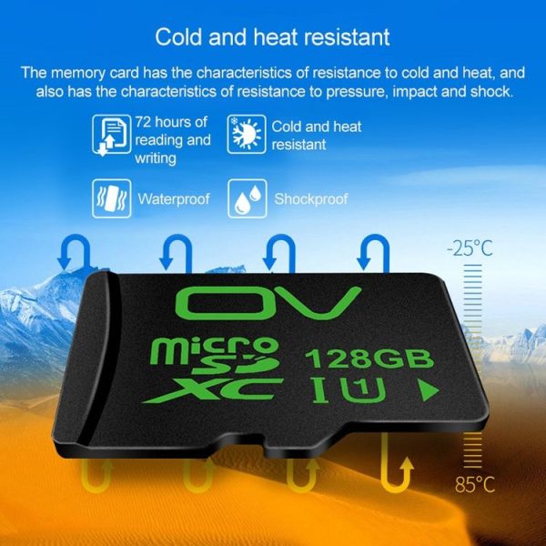 Mc5623y 5.jpg