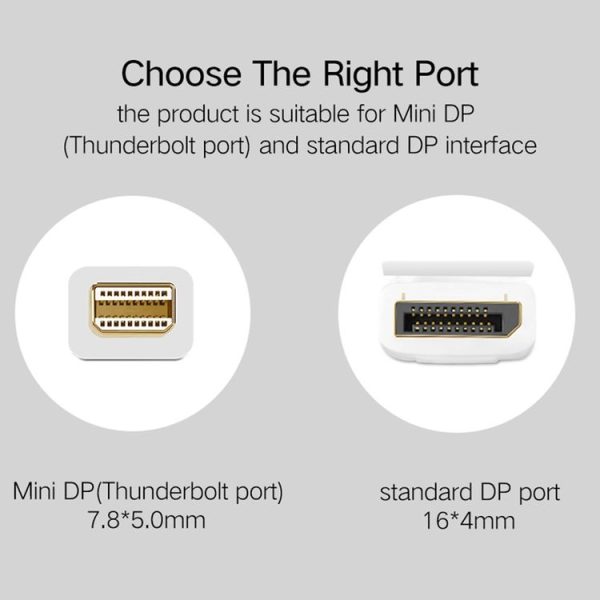 Pc5034b 4.jpg
