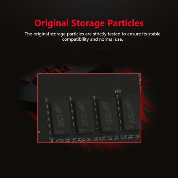 Pc5169 7.jpg